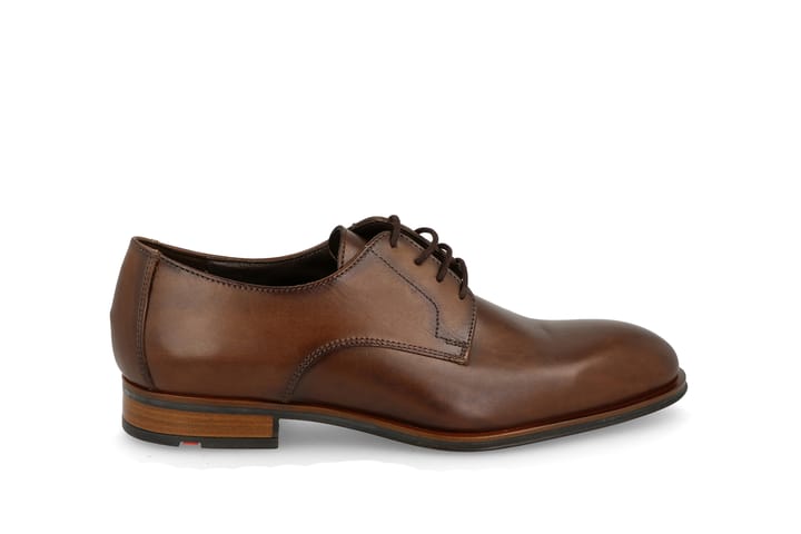 LLOYD 6995 Cigar LLOYD