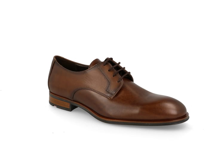 LLOYD 6995 Cigar LLOYD