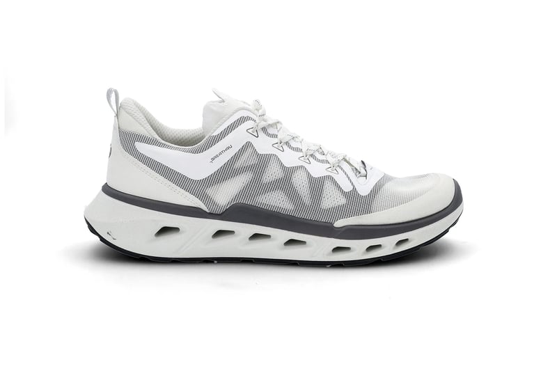 Biom 720 ECCO