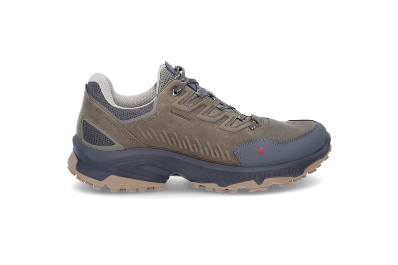 Receptor XP ECCO