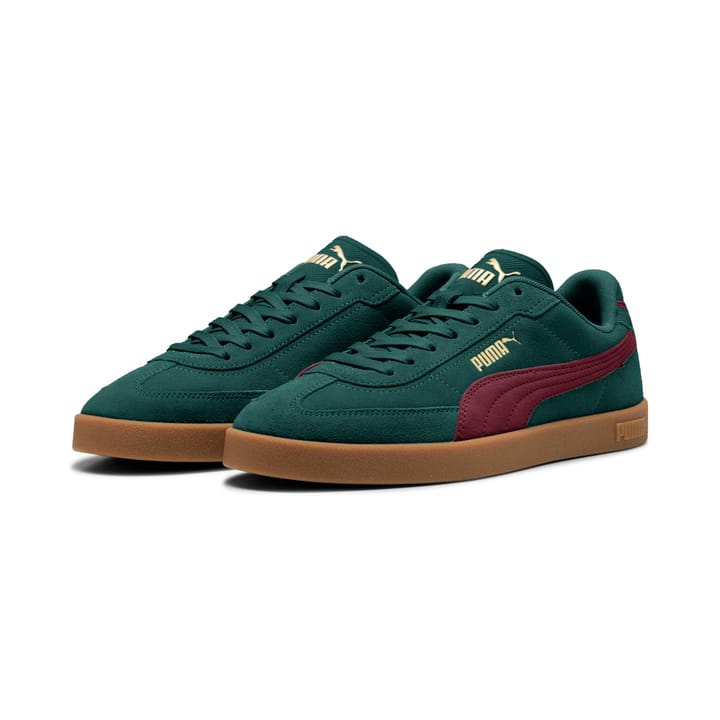 PUMA 0595 Green Terrain - PUMA