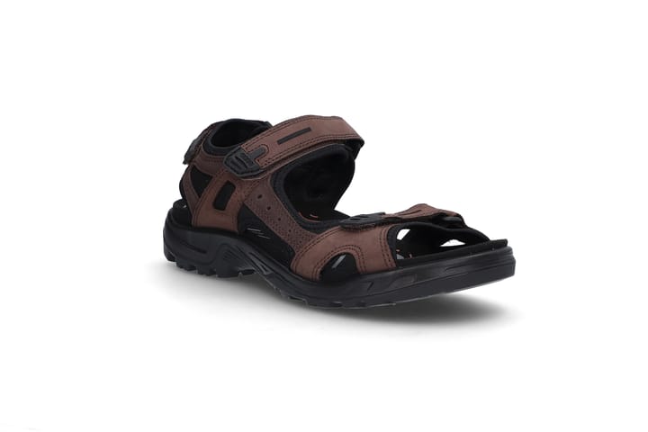 ECCO 6686 Mocha/Mocha ECCO