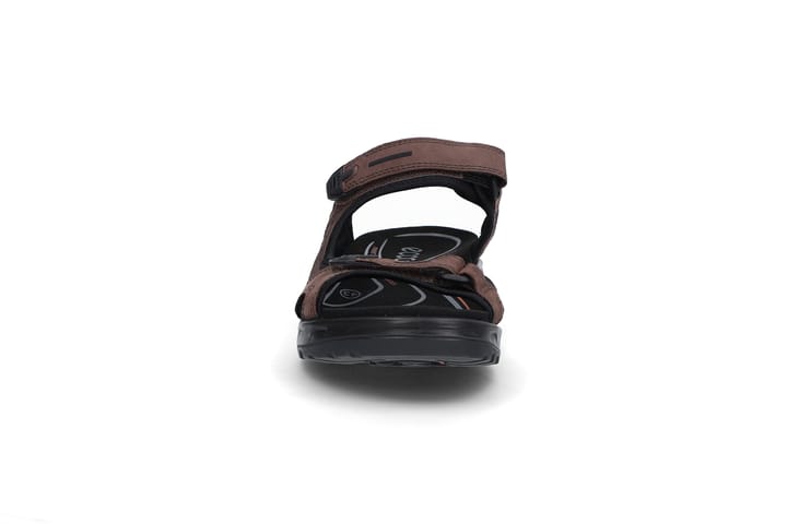ECCO 6686 Mocha/Mocha ECCO