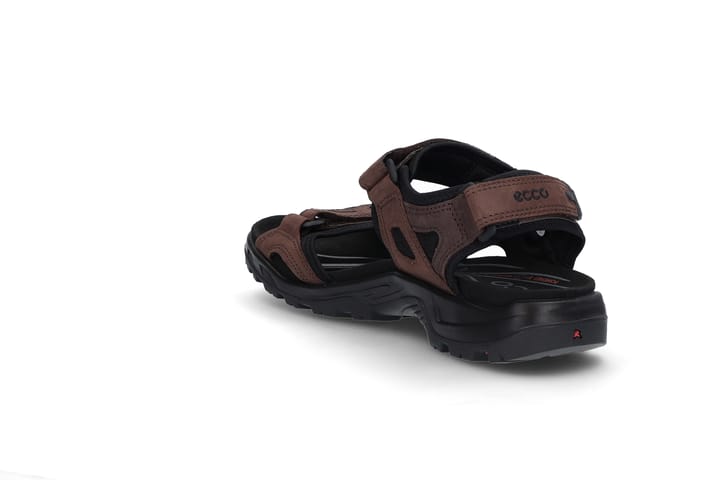 ECCO 6686 Mocha/Mocha ECCO