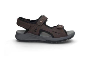 SOFTWALK 2493 BROWN SOFTWALK SOFTWALK 2493 BROWN SOFTWALK