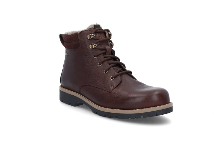 SOFTWALK 2424 Brown SOFTWALK SOFTWALK 2424 Brown SOFTWALK