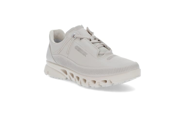 Multi-Vent ECCO