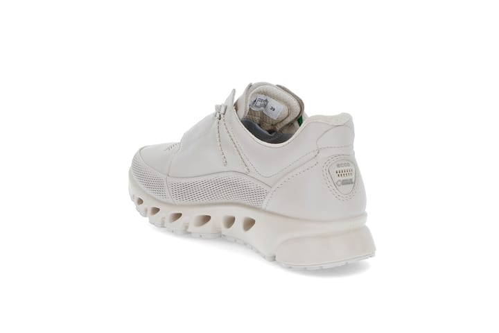 Multi-Vent ECCO