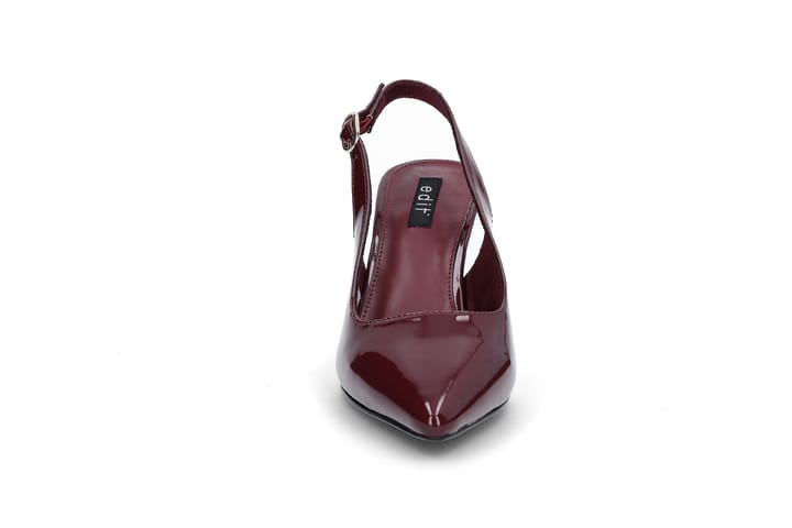 EDIT 1629 BURGUNDY EDIT
