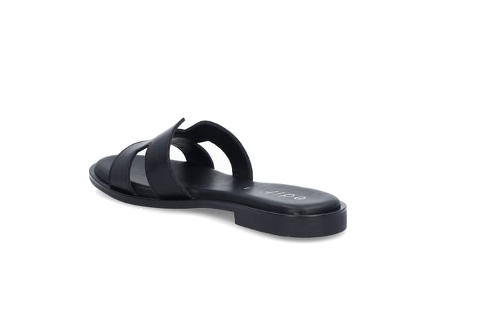 EDIT 1736 BLACK EDIT