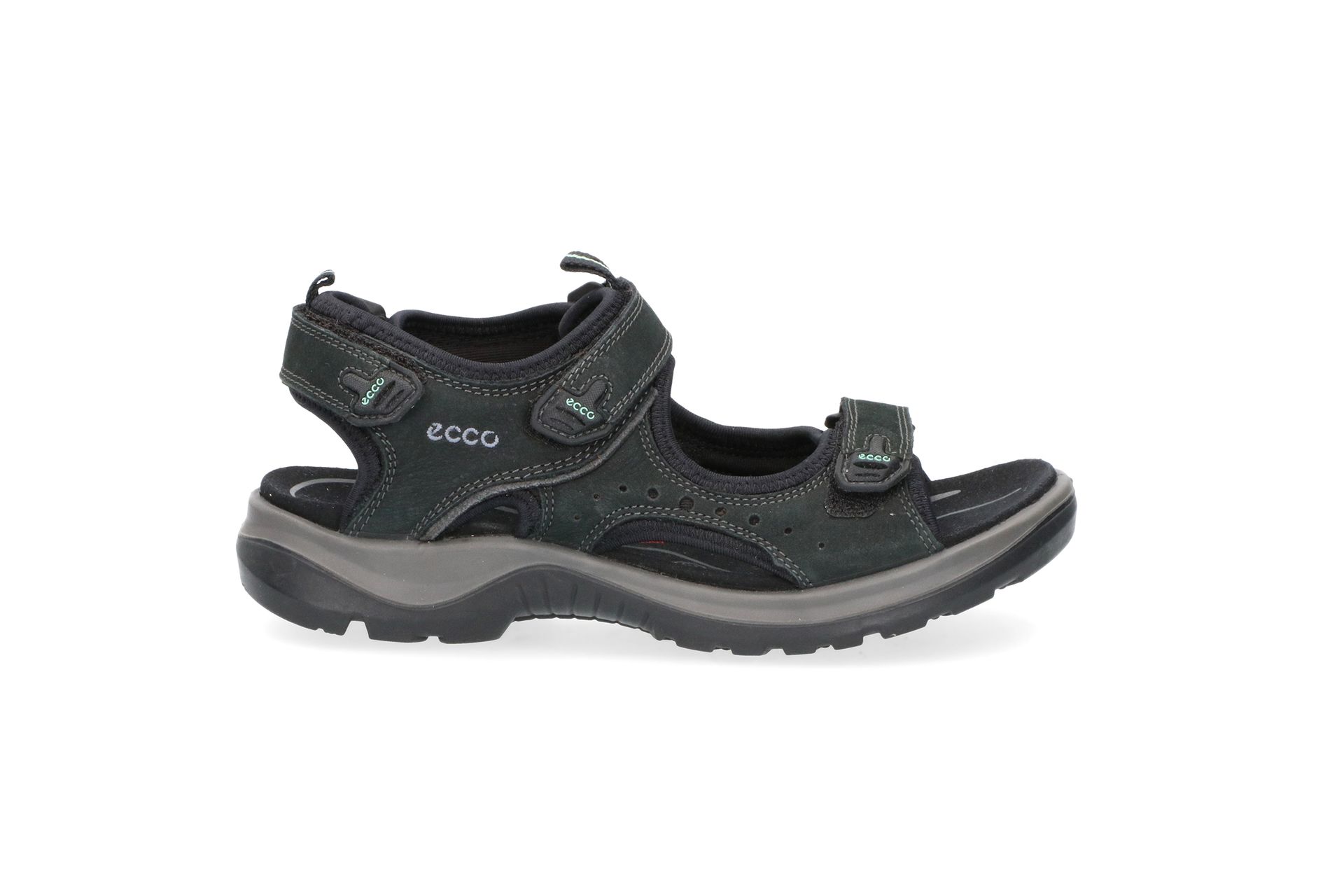 ECCO  Black ECCO