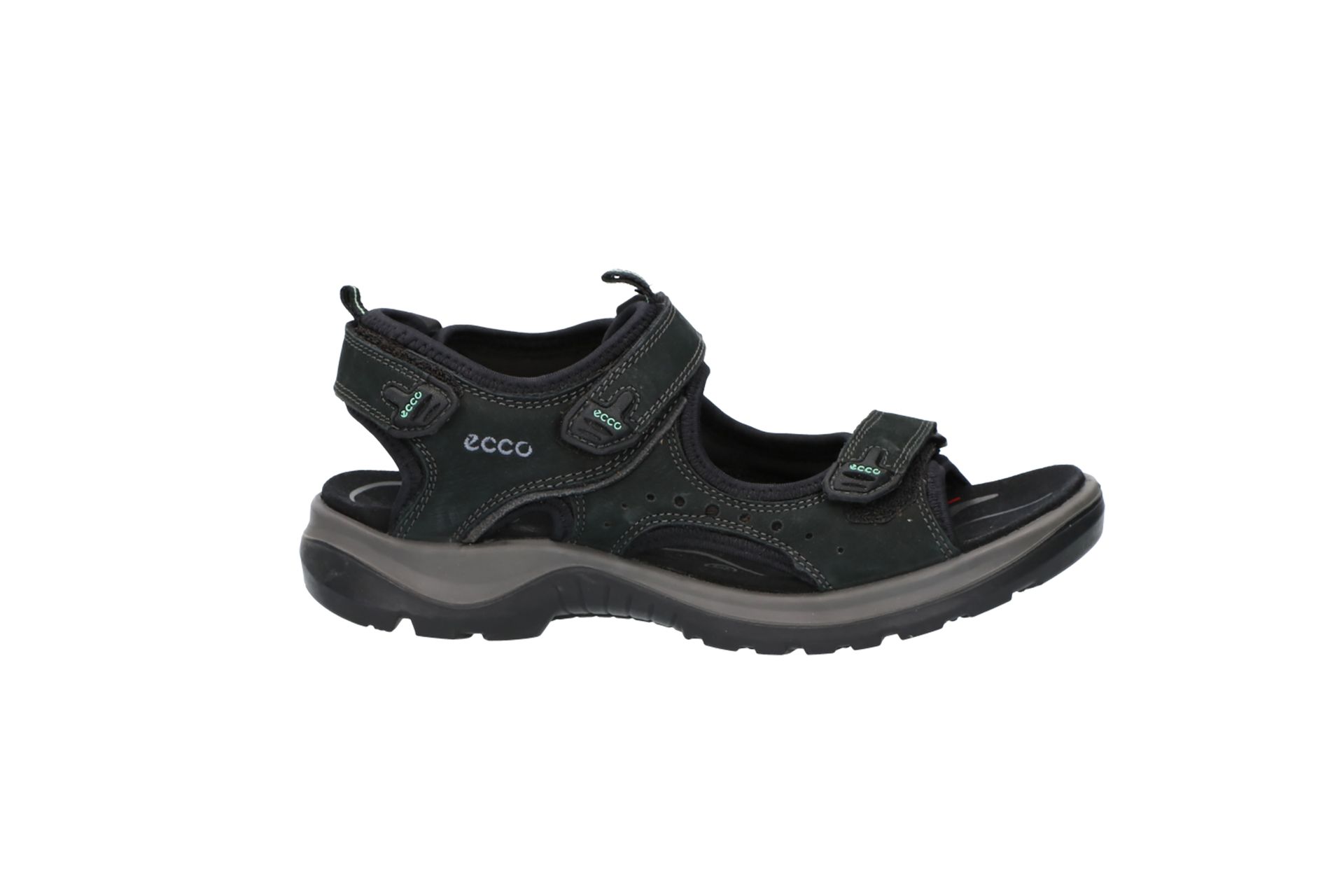 ECCO  Black ECCO