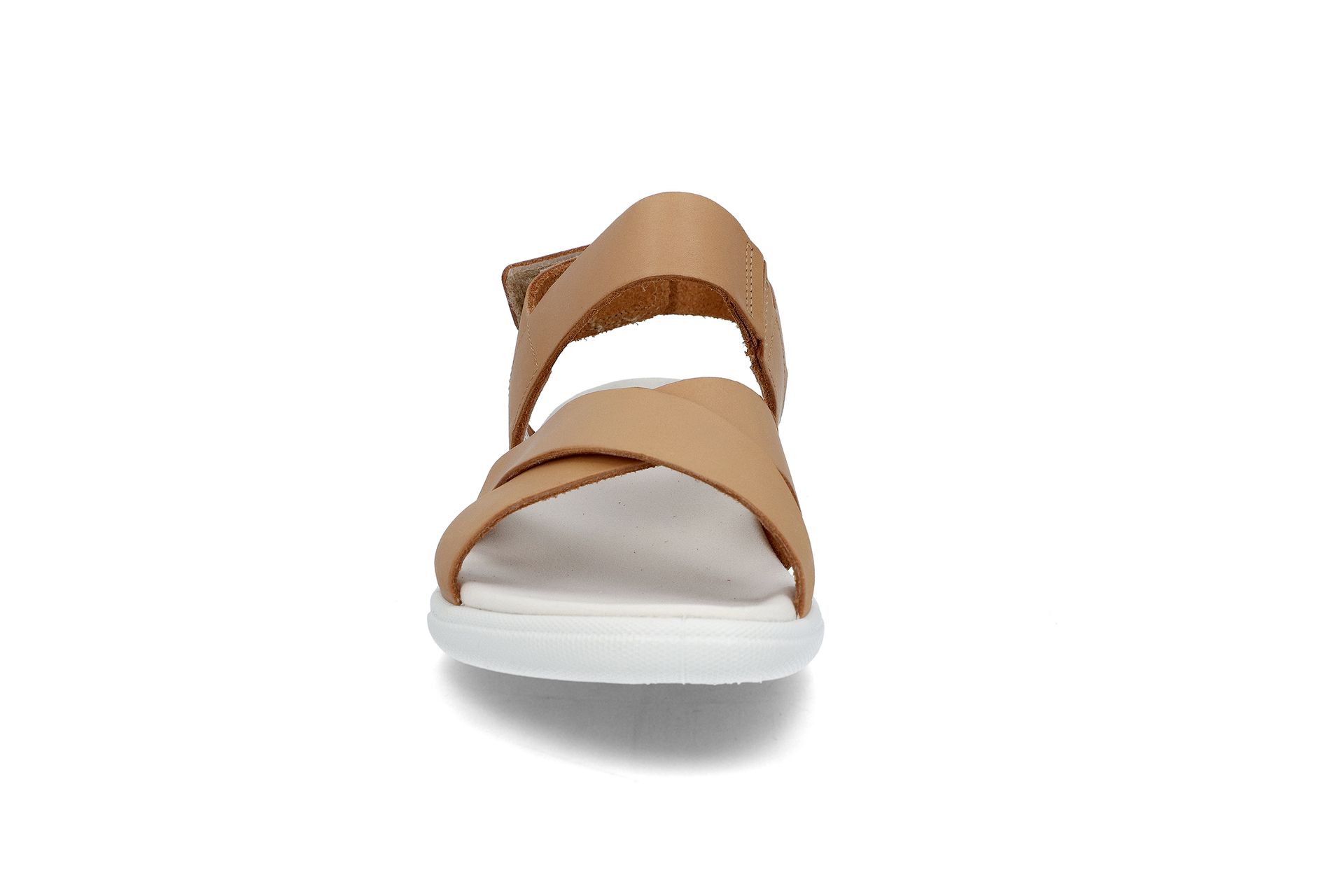 ECCO 6651 Lion ECCO