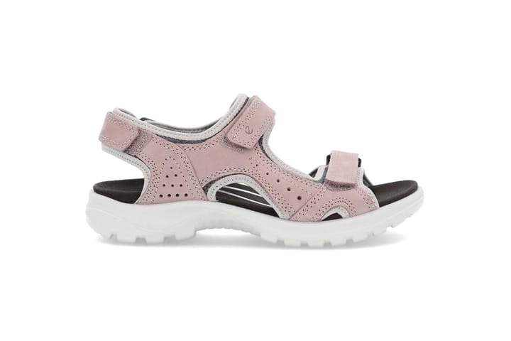 ECCO 6526 Woodrose/Magnet ECCO