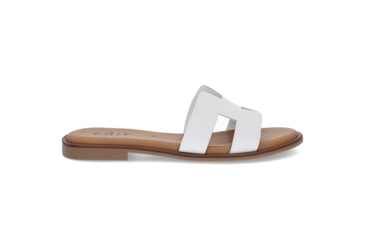 EDIT 1736 WHITE EDIT