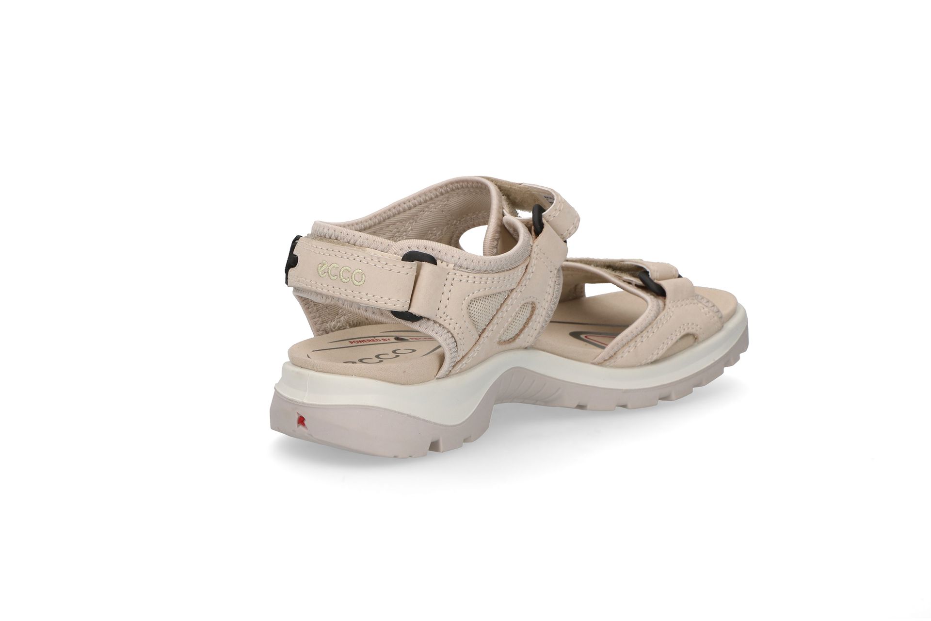 ECCO 6650 Limestone ECCO