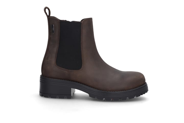 FACE 1831 DK.BROWN