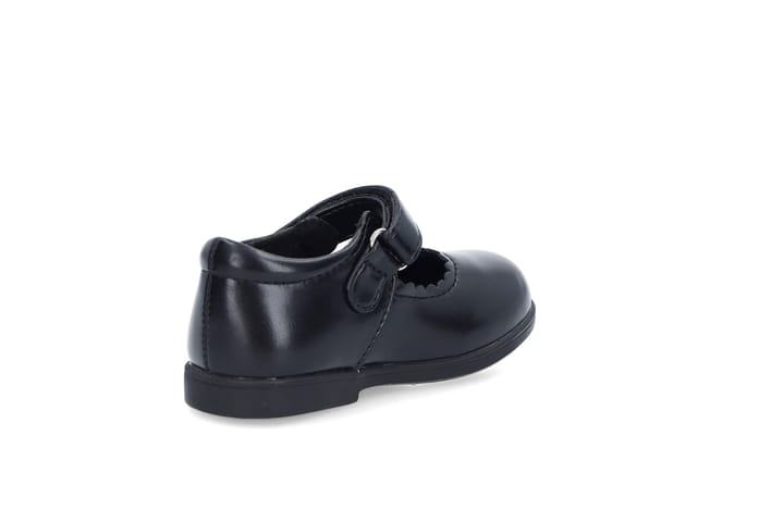 PONNY 3603 BLACK PONNY