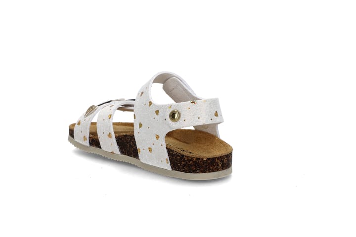 GOLDSTAR 3442 WHITE/GOLD GOLDSTAR