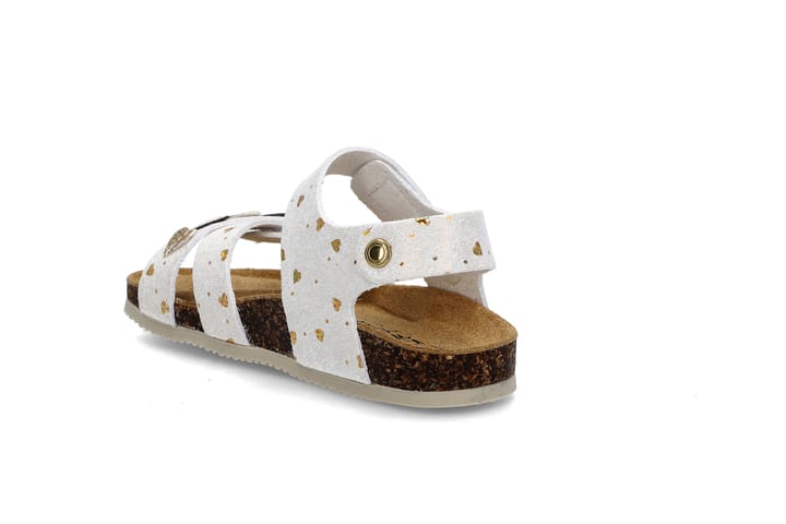 GOLDSTAR 3443 WHITE/GOLD GOLDSTAR GOLDSTAR 3443 WHITE/GOLD GOLDSTAR