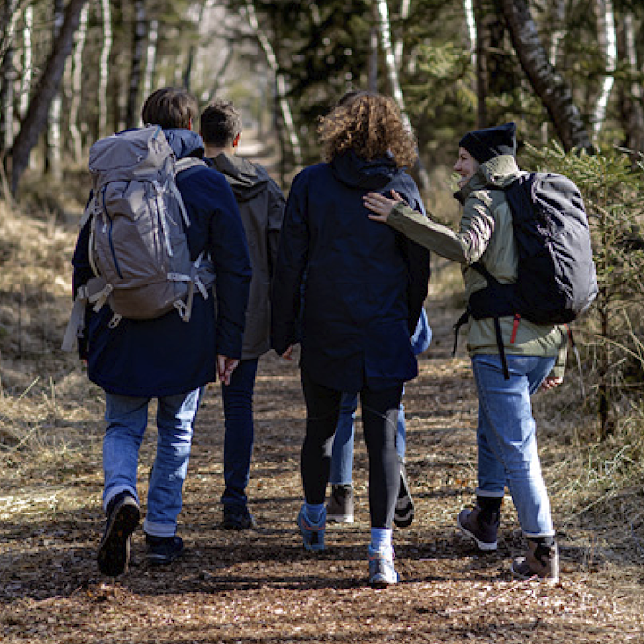 Fyra personer med ryggsäckar går tillsammans på en skogsstig, omgivna av träd och solljus.