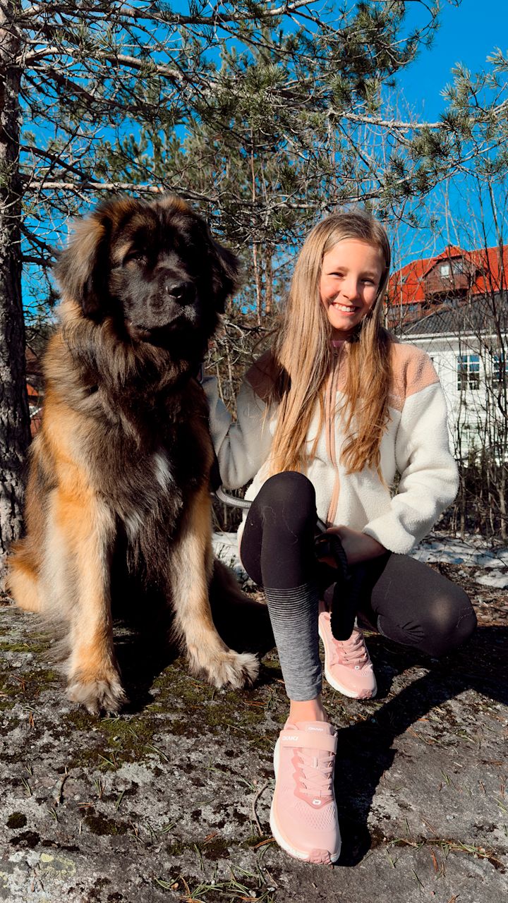 Stor brun og svart hund sitter på stein ved siden av smilende jente med langt lyst hår, iført hvit og rosa jakke, svarte og grå leggings og rosa joggesko i skogsområde med hus i bakgrunnen.