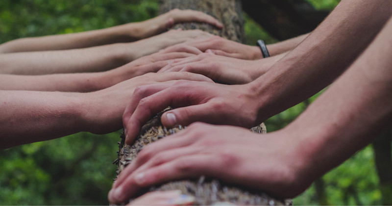 Flera händer som vilar på en trädstam i en grön utomhusmiljö symboliserar samarbete och gemenskap.